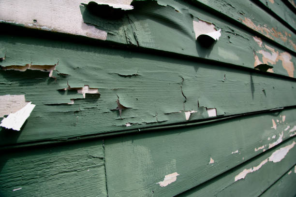 Best Recycling Services for Junk  in Gray, LA