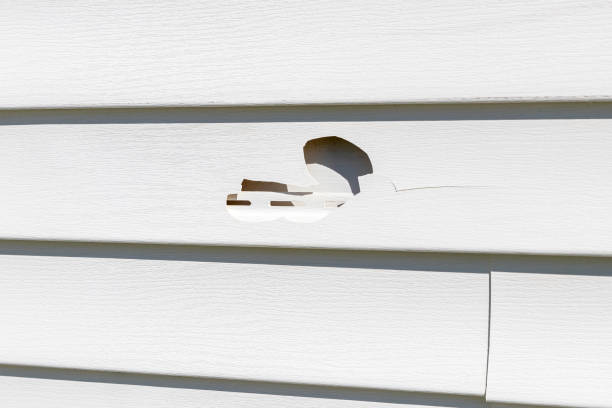 Best Shed Removal  in Gray, LA
